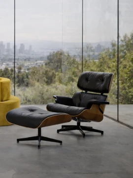 Mid Century